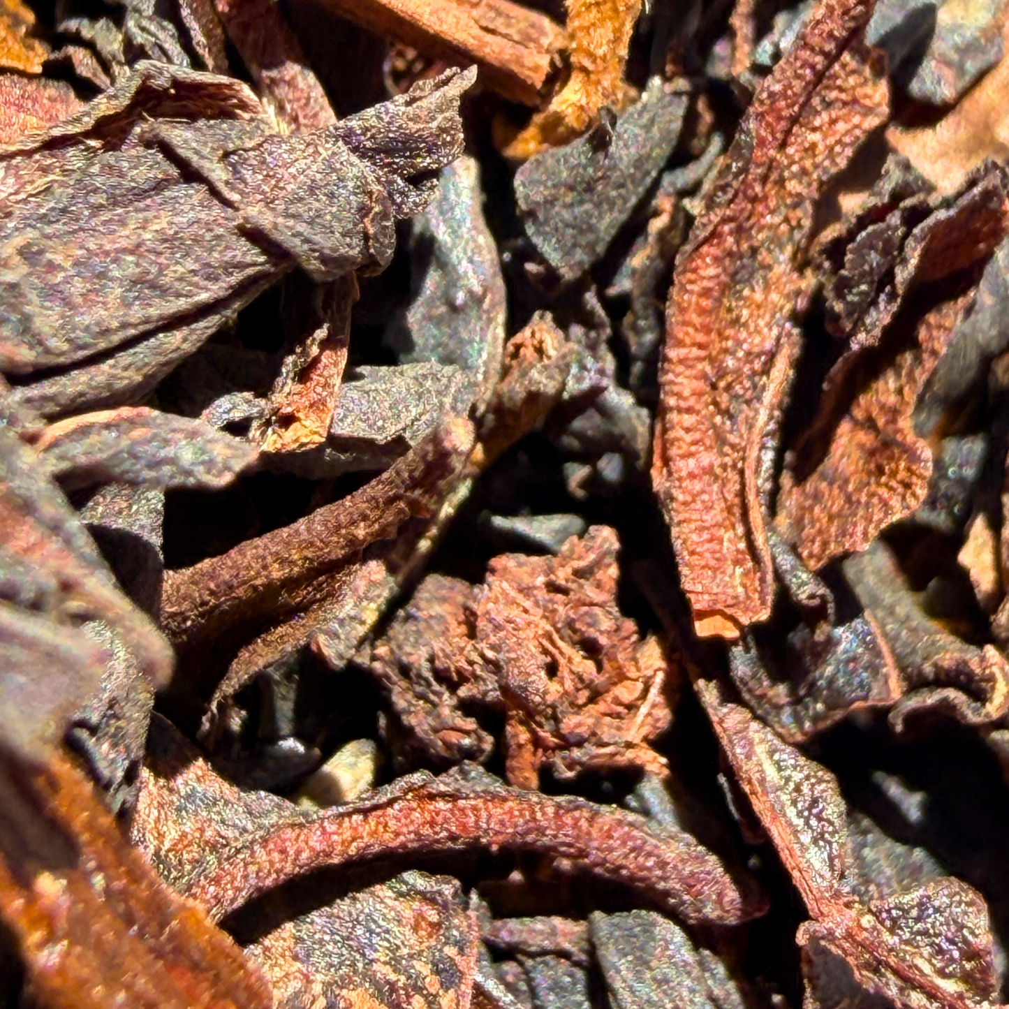 Formosa Oolong