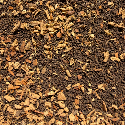 Decaf Masala Chai