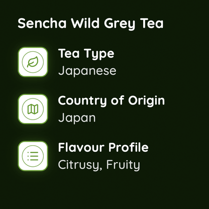Sencha Wild Grey Tea