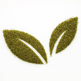 Peppermint Herbal Tea